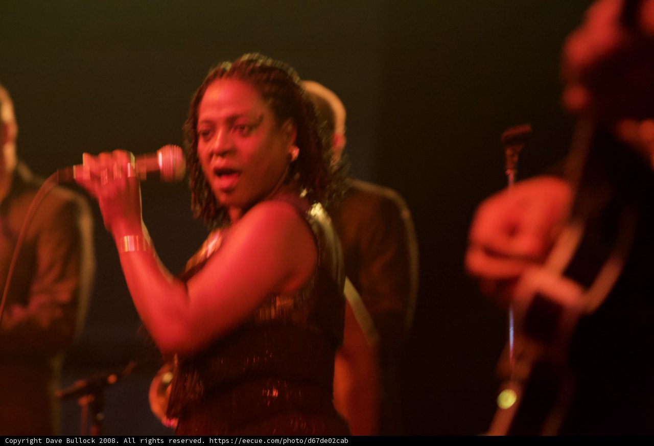 Live Performance at Coachella Music Festival