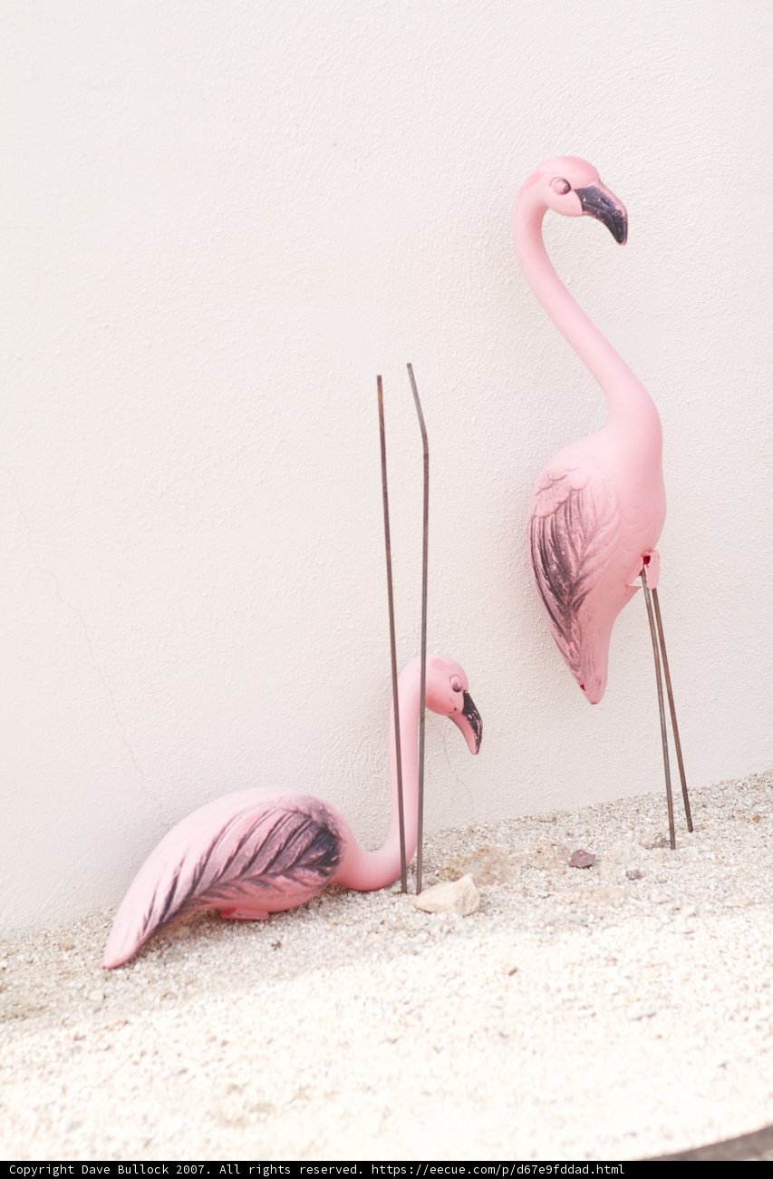 Pink Pairing