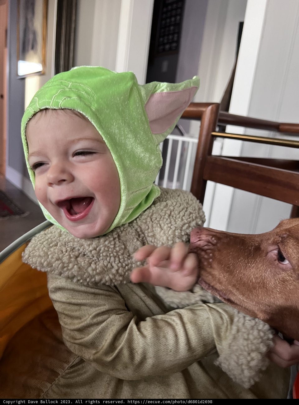 Wesley - A Bundle of Joy with a Furry Friend