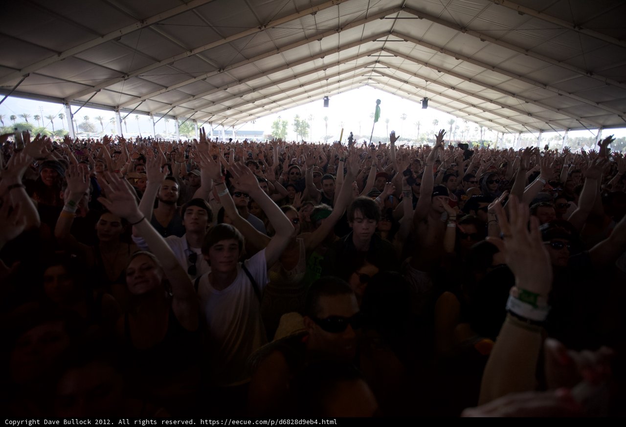 Party in the Crowd