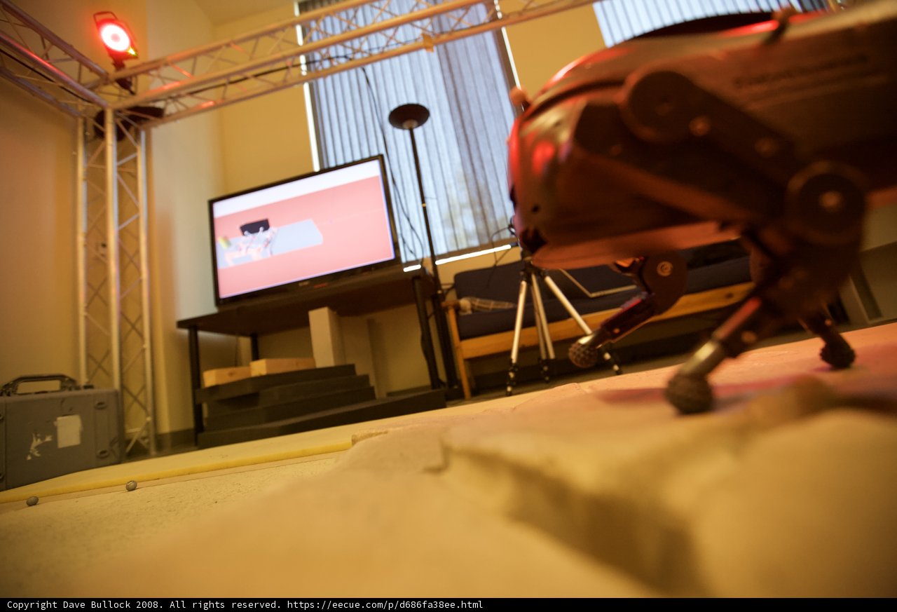 Robotic Entertainment Center