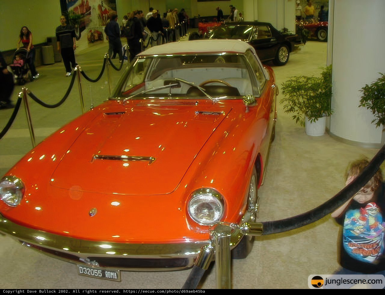 Admiring the Speedster