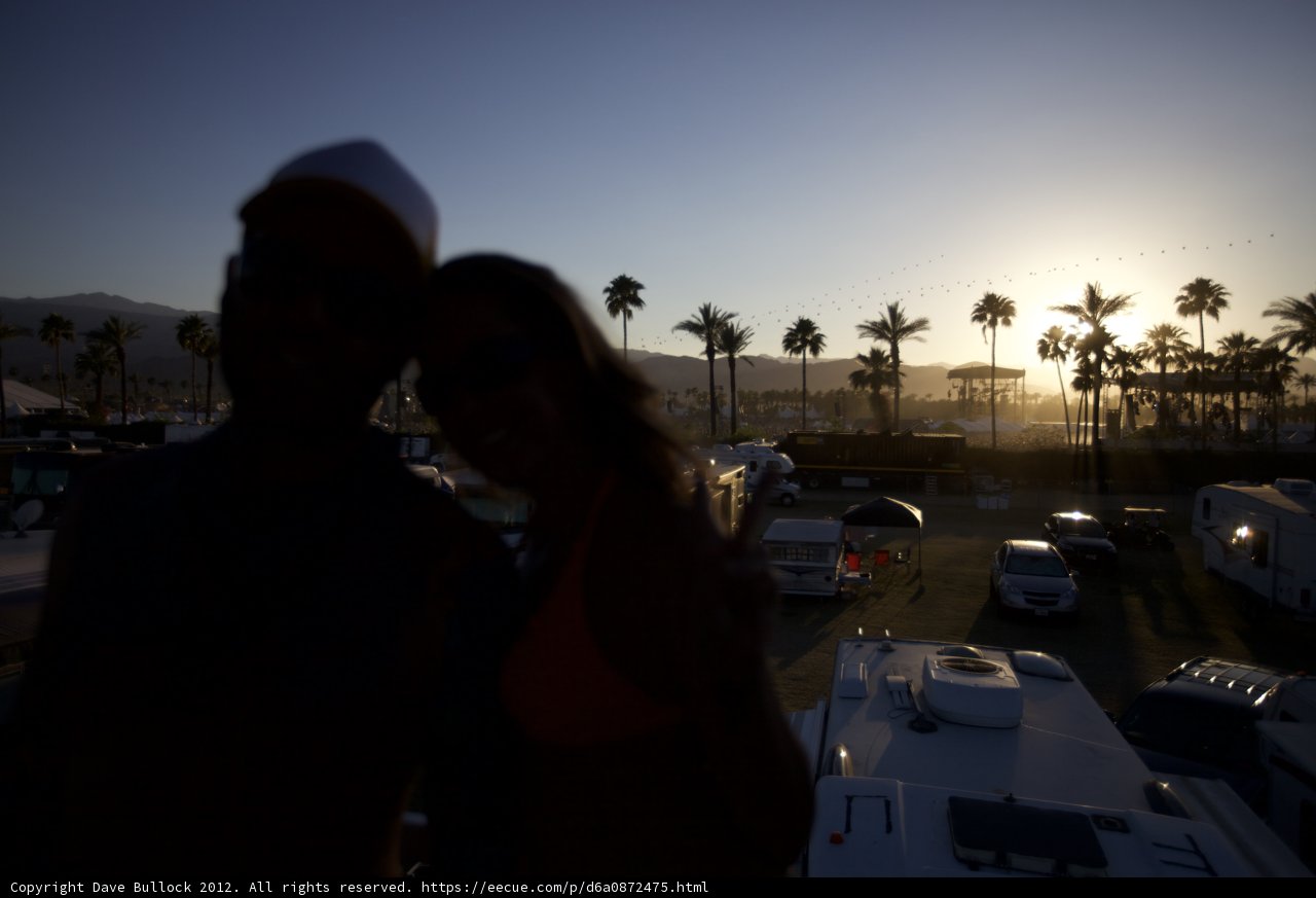 Sunset Lovebirds