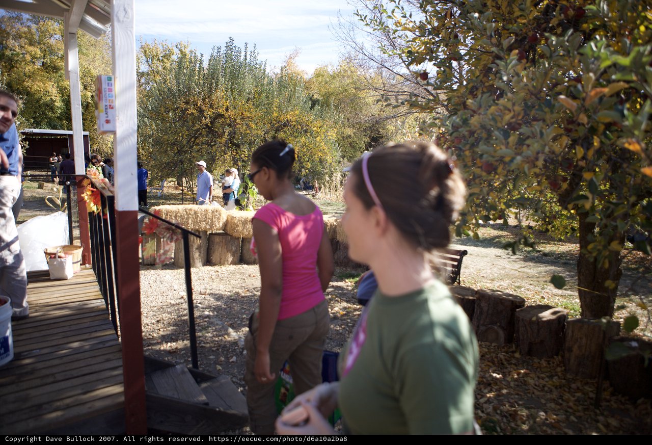 Autumn Day at the Apple Farm Orchard