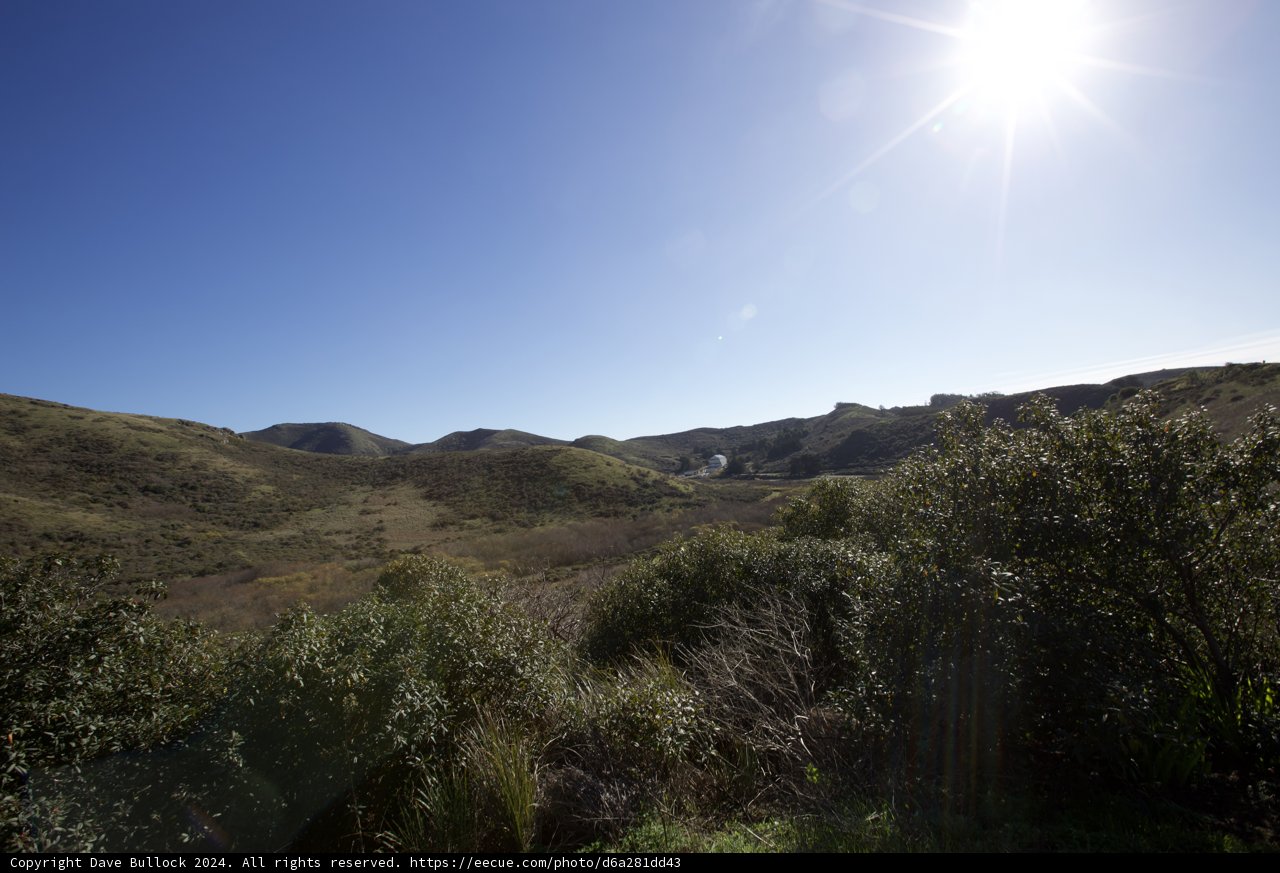 Sun-dappled Marin Headlands in 2024