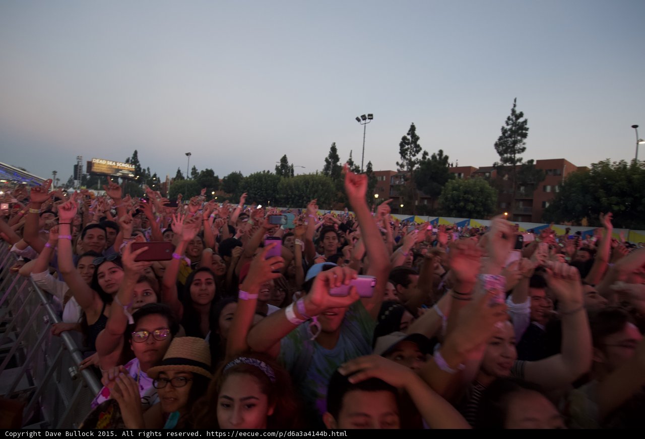 Rose Tinted Glasses Crowd
