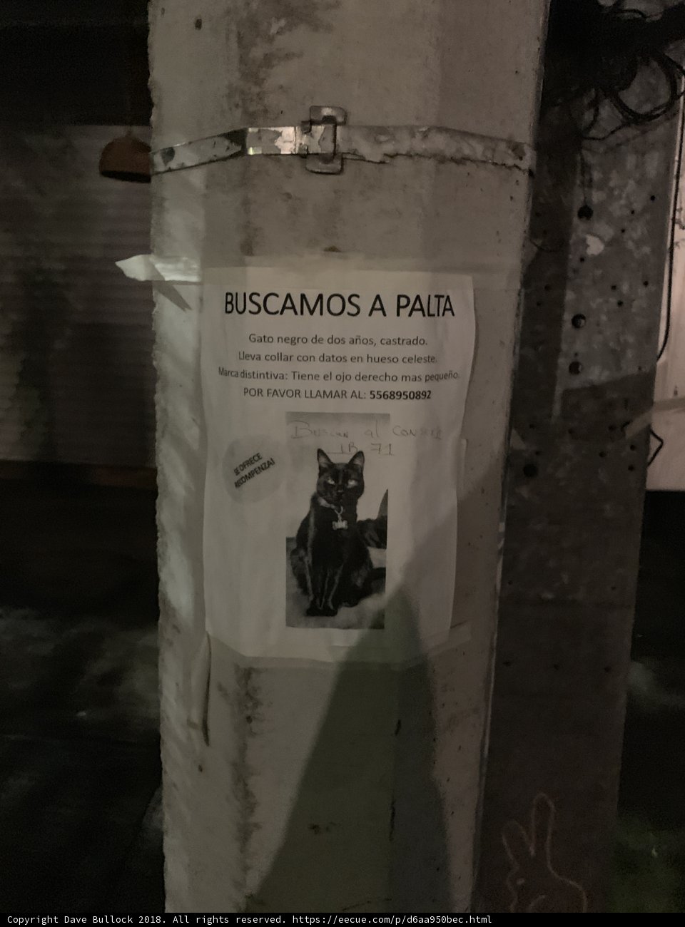 Buscame a pata