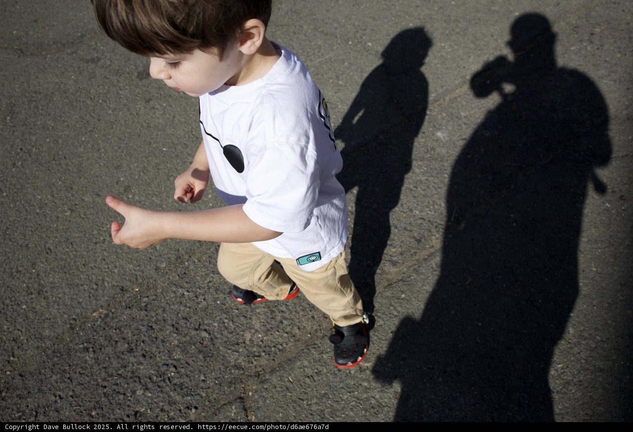 Shadows of Play