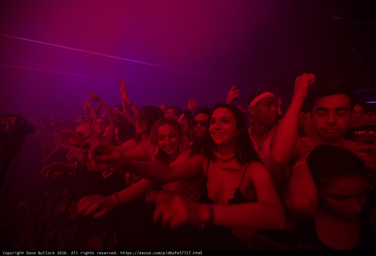 Party People in the Urban Nightlife