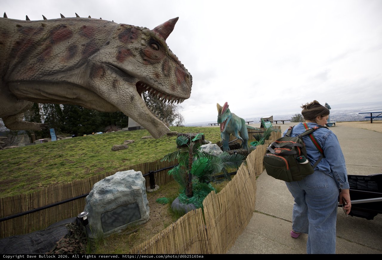 Visitor Observes Life-Size Dinosaur Exhibit on Hilltop
