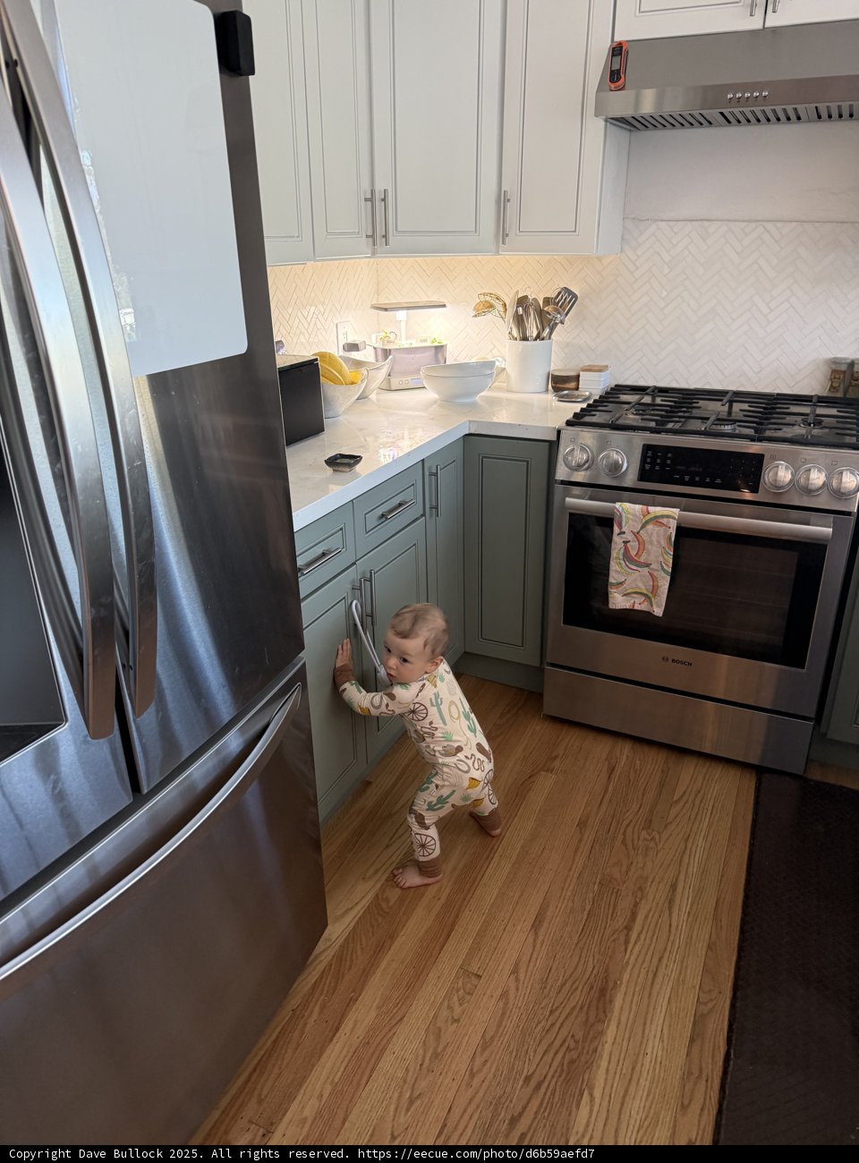 Curious Explorations in the Kitchen
