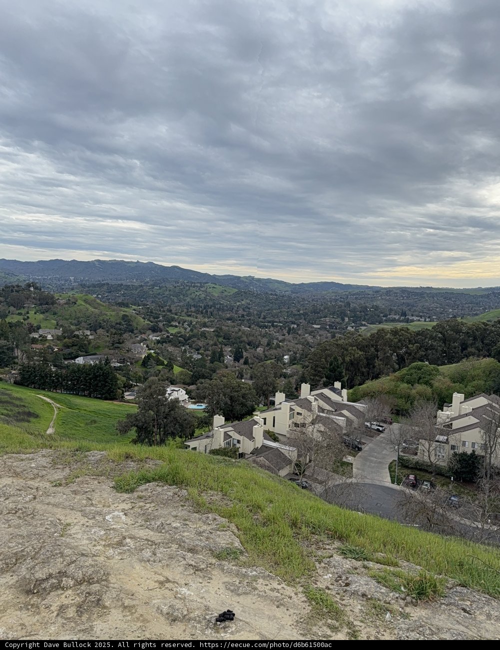 Overcast Serenity in Walnut Creek