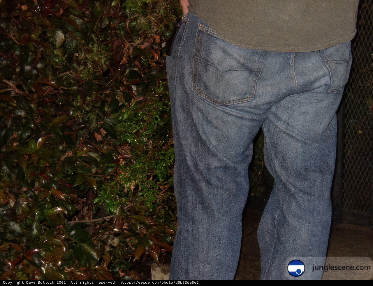 Denim in Foliage