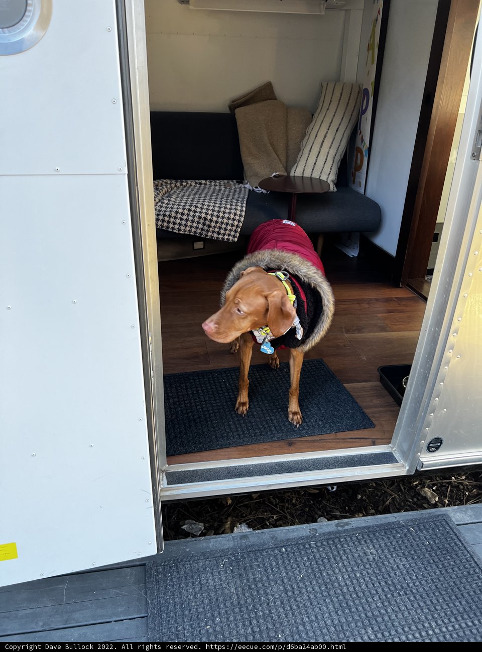A Hound's Home