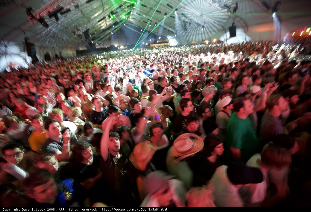 Euphoric Crowd at Coachella 2008