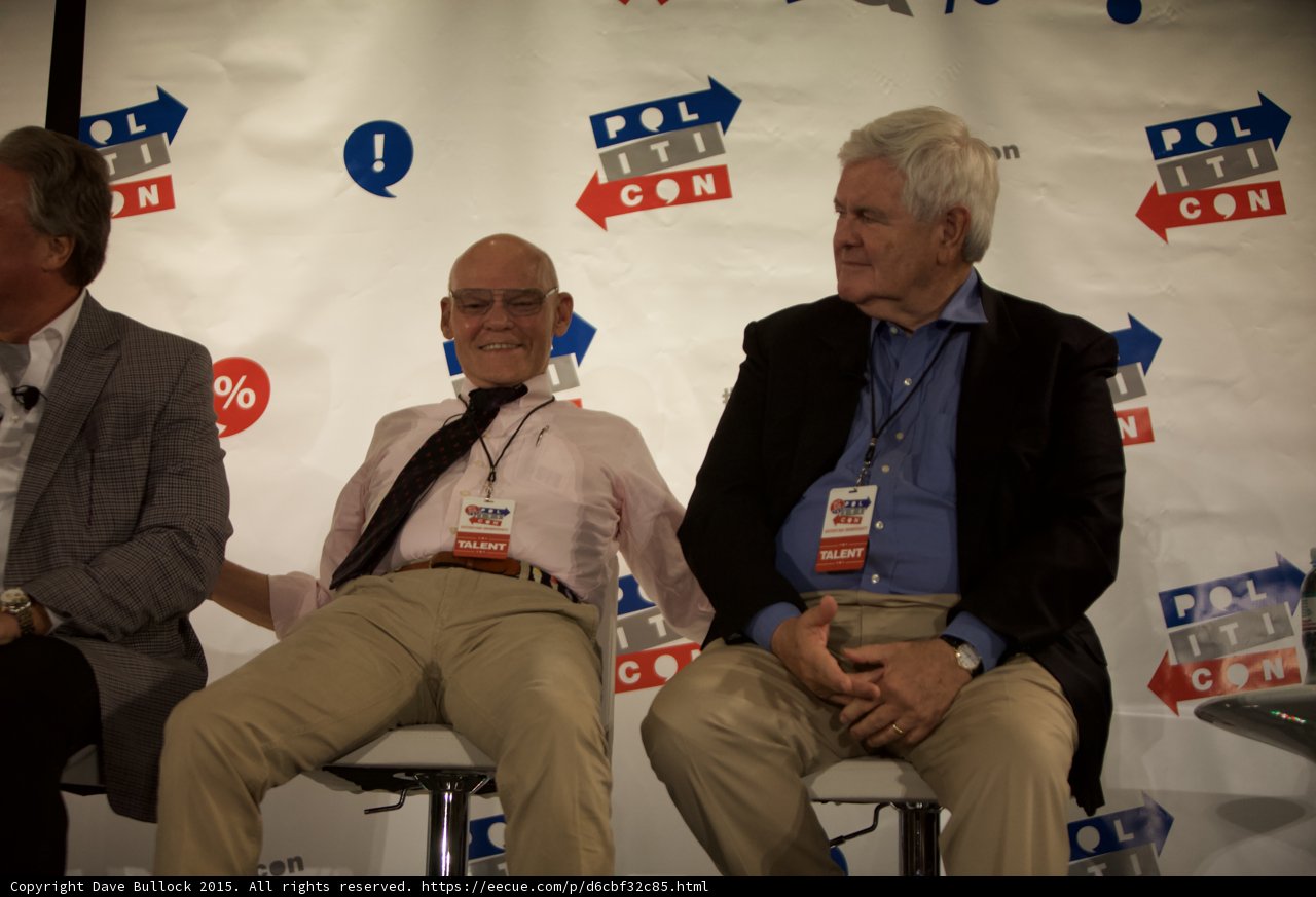 Panel of Political Experts