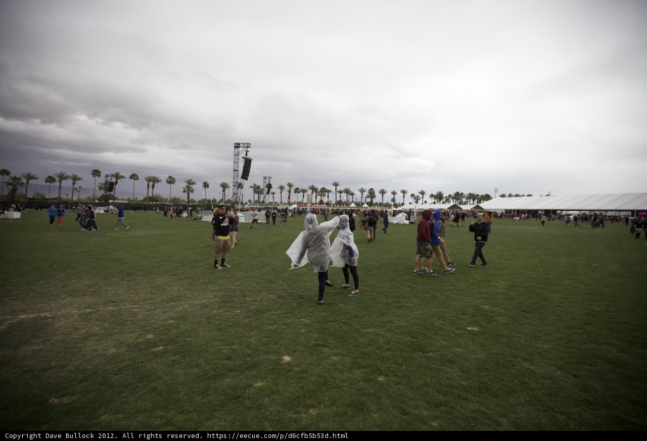 Walking through the Festival Fields
