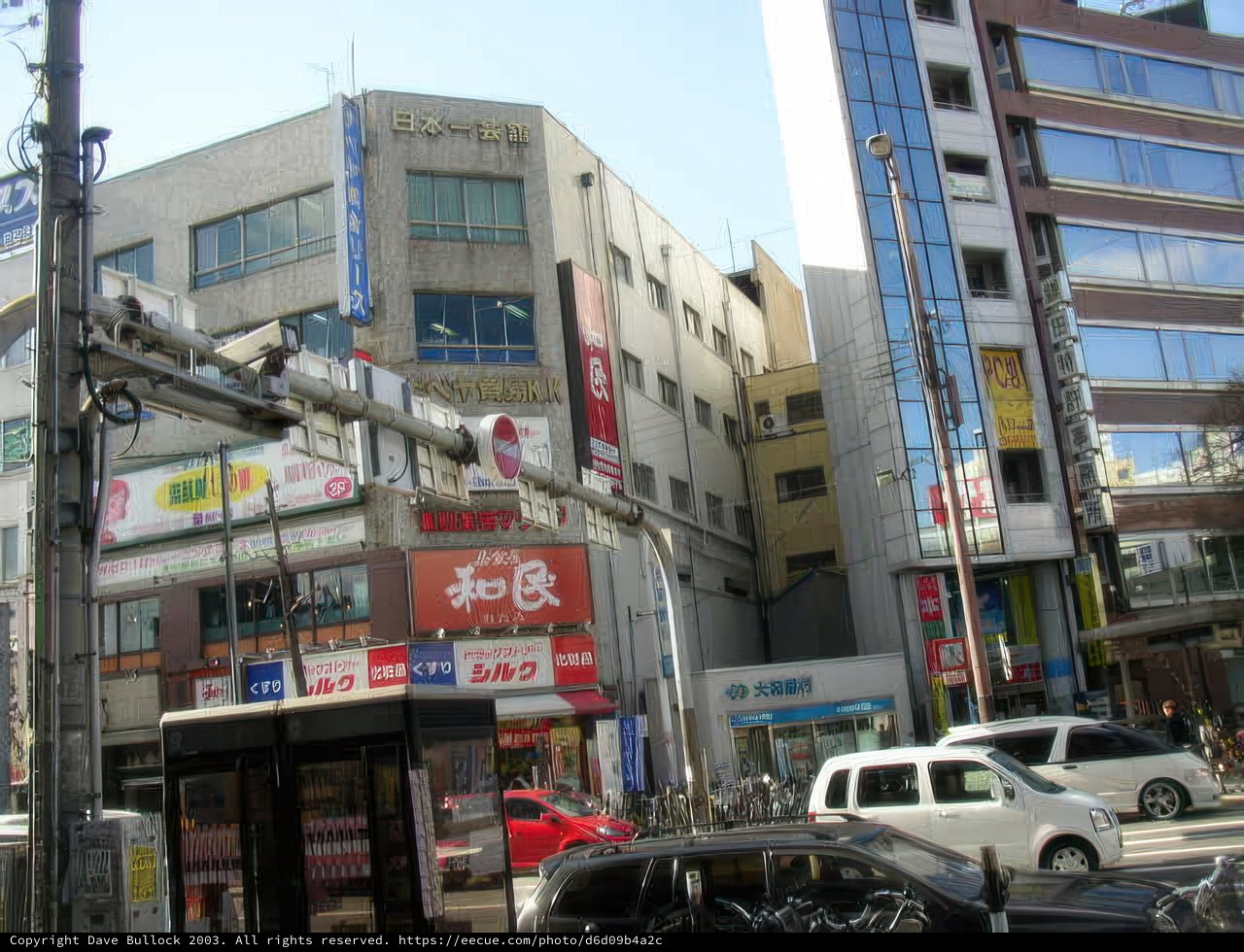 Sky-High in the Urban Jungle