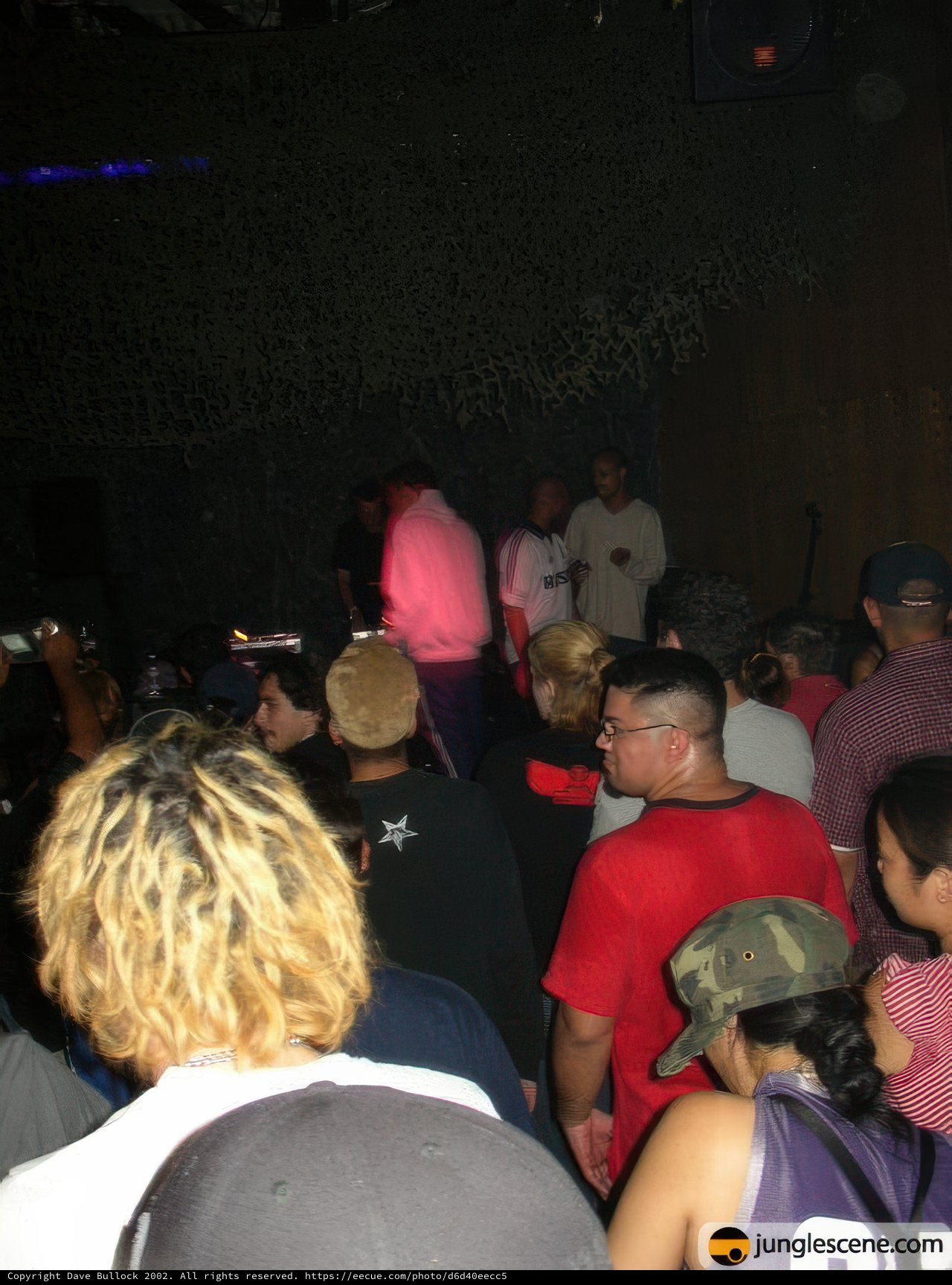 Nightclub Concert Crowd
