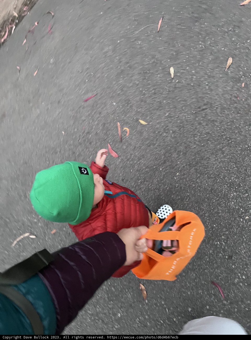 Tiny Steps on Big Adventures