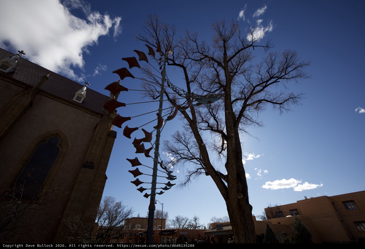 Spiral of Bats Against Desert Sky in Santa Fe