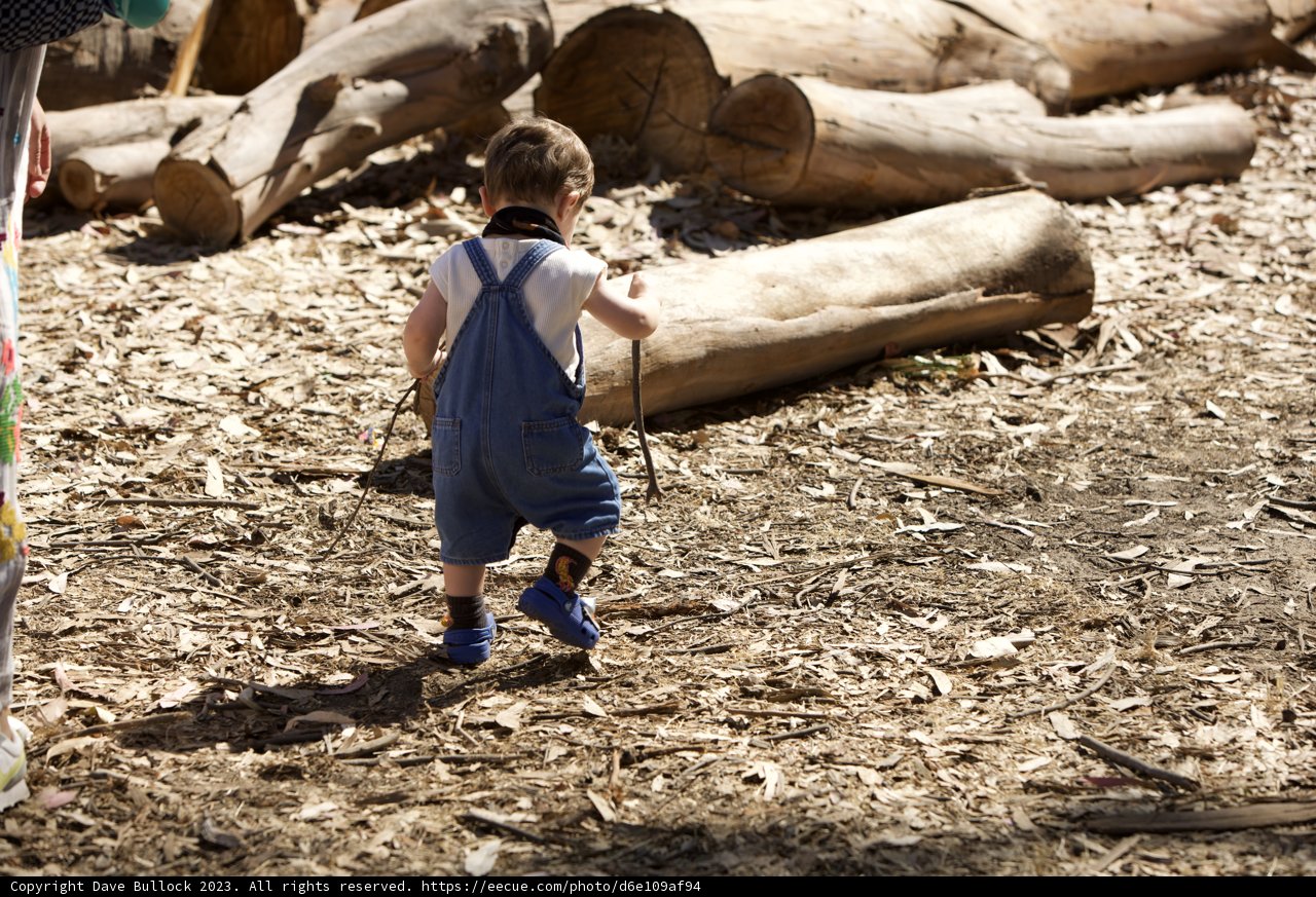 Adventure in the Great Meadow Park