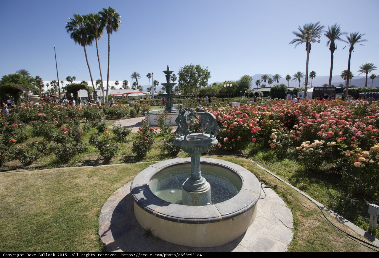 Serene Garden Fountain Amidst Palm Trees