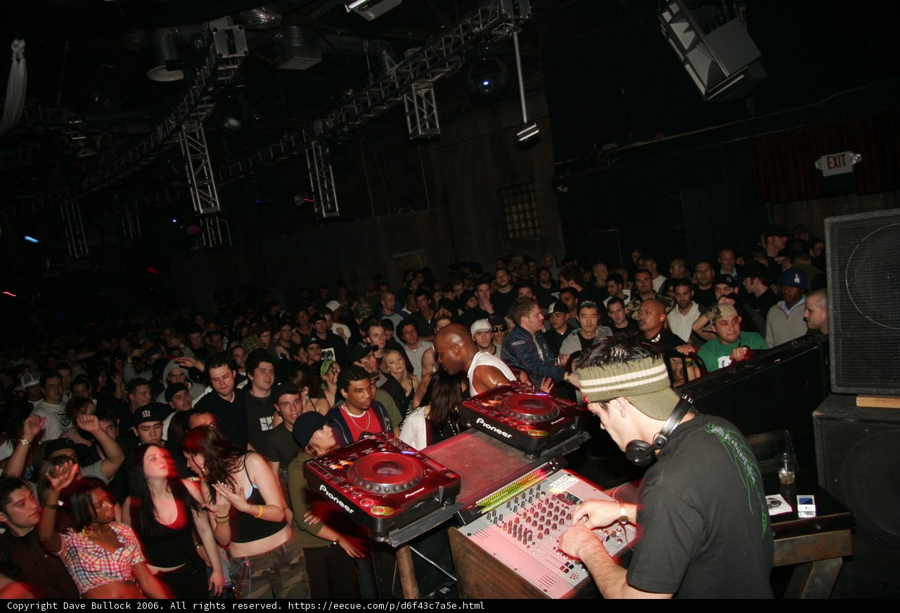 Rhythmic Beats and a Dancing Crowd at 2006 Viram Funktion Concert