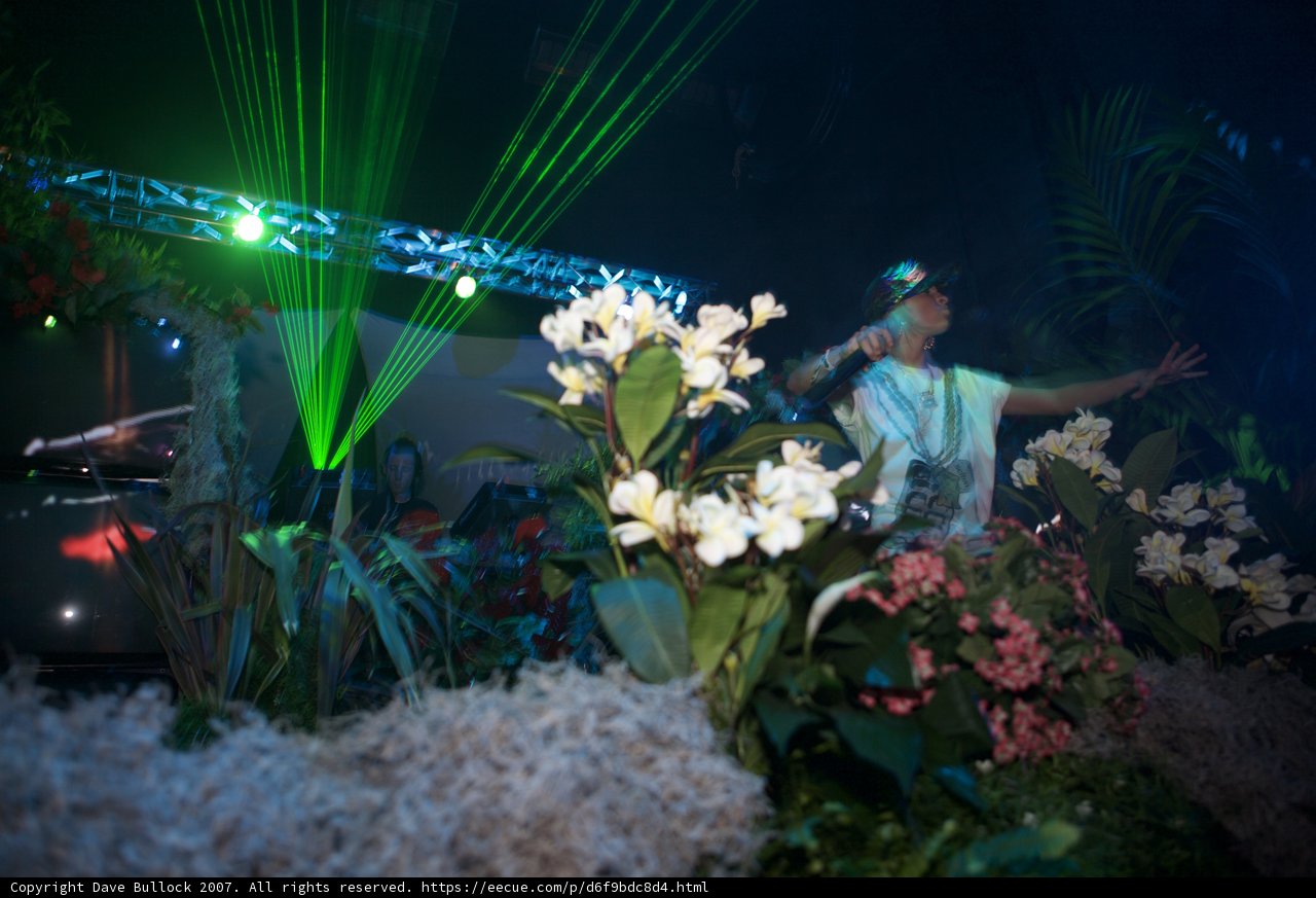 Green Light Serenade