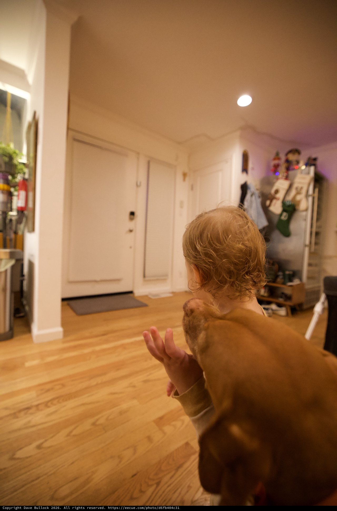 Toddler Running Through Home in Motion Blur