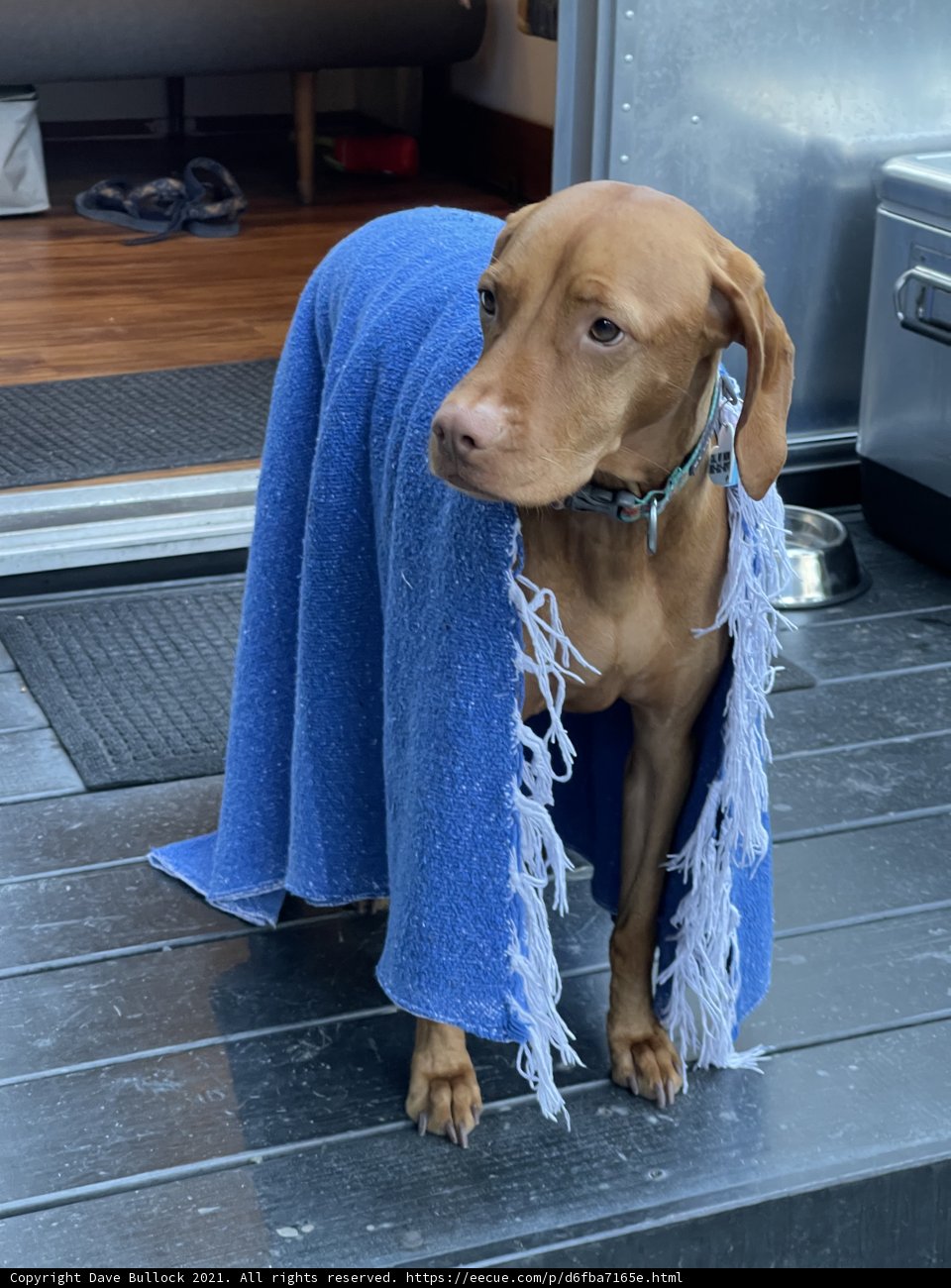 Wrapped in Warmth