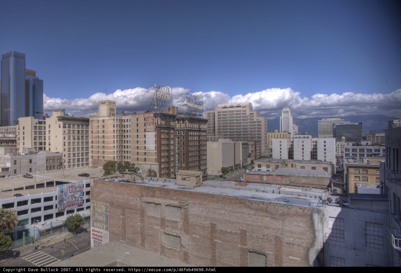 Overlooking the Urban Jungle