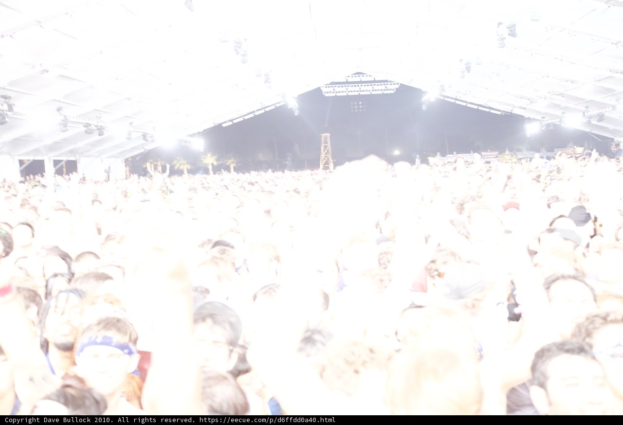 The Crowd Goes Wild