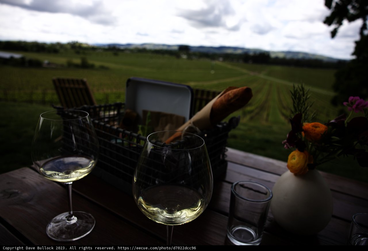A Charming Wine Country Picnic