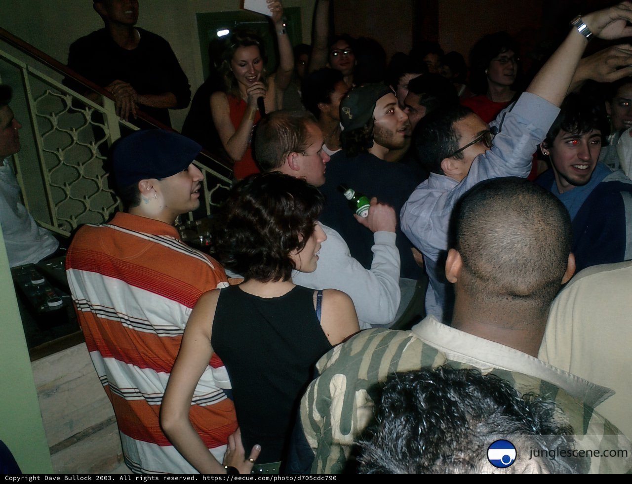 Excitement at the Night Club