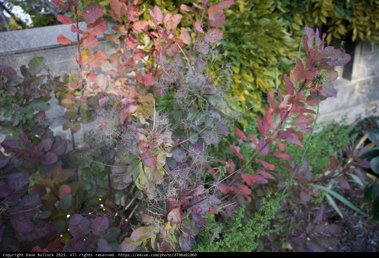 Autumn Splendor at Thistlewyck
