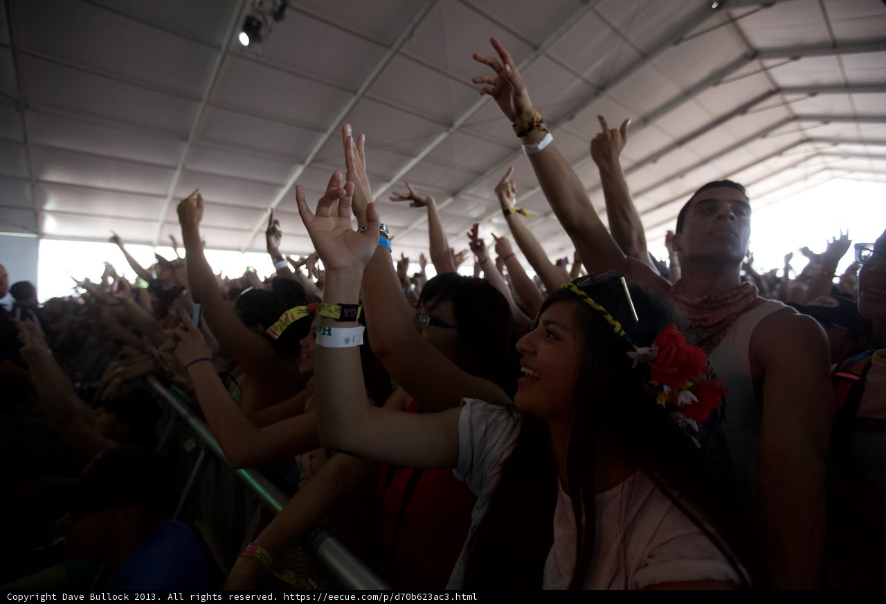 Hands Up in the Crowd