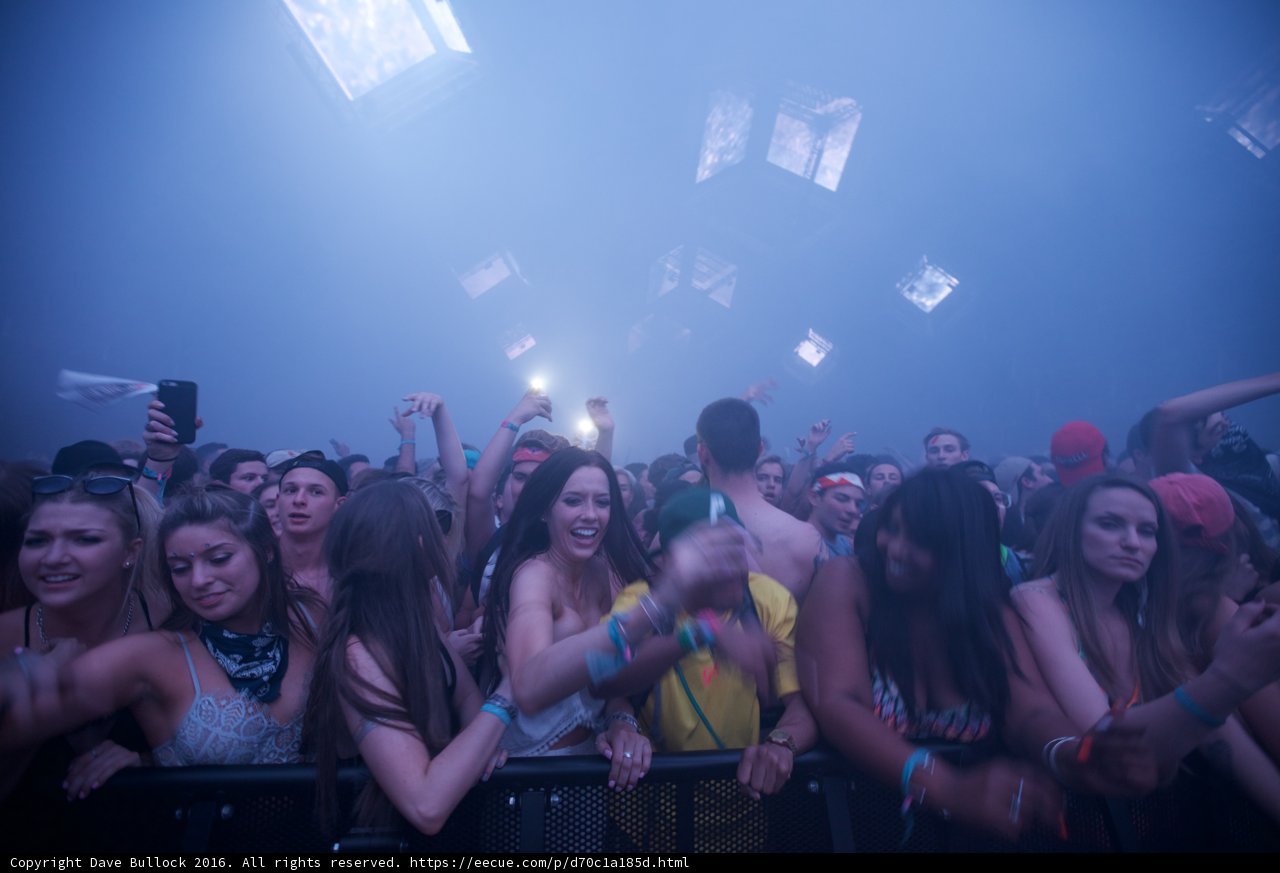 Party People at Coachella Music Festival