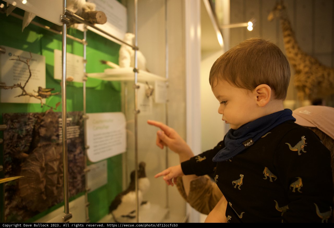 Motherly Love at the Museum