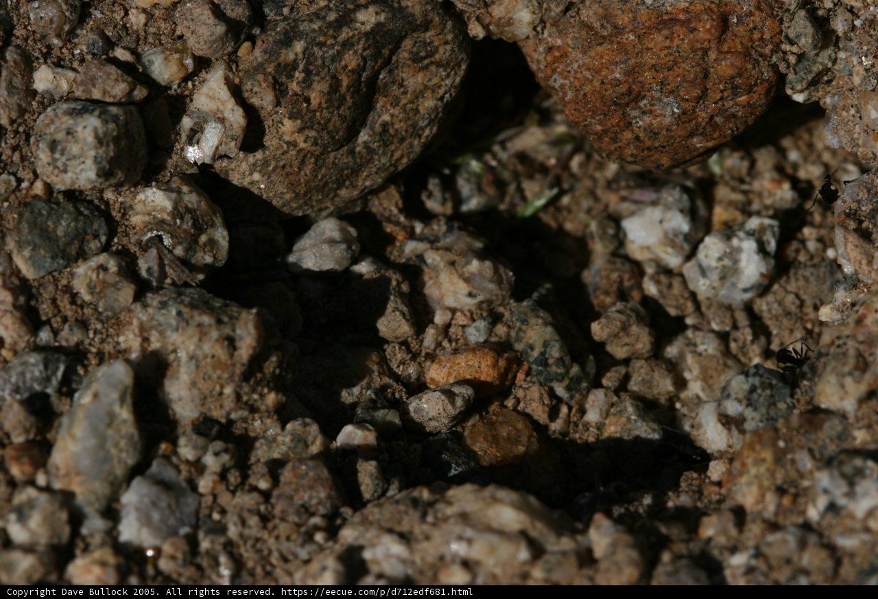Up Close and Personal with Mother Nature's Elements