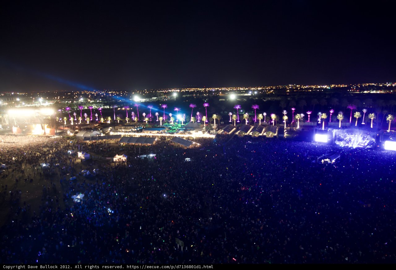 Electric Night Crowd