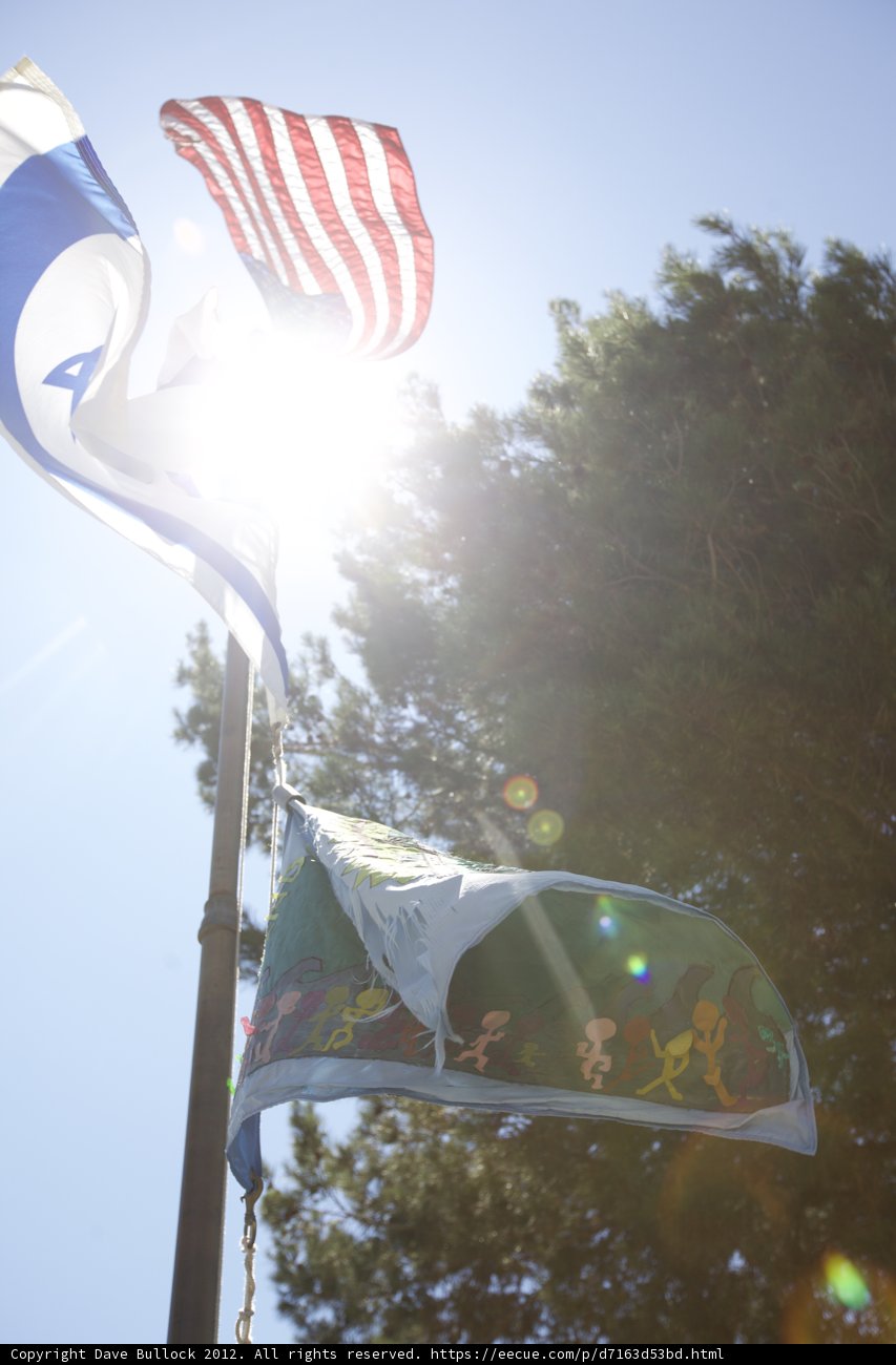 American and Israeli Flags Flying Proudly in the Sun