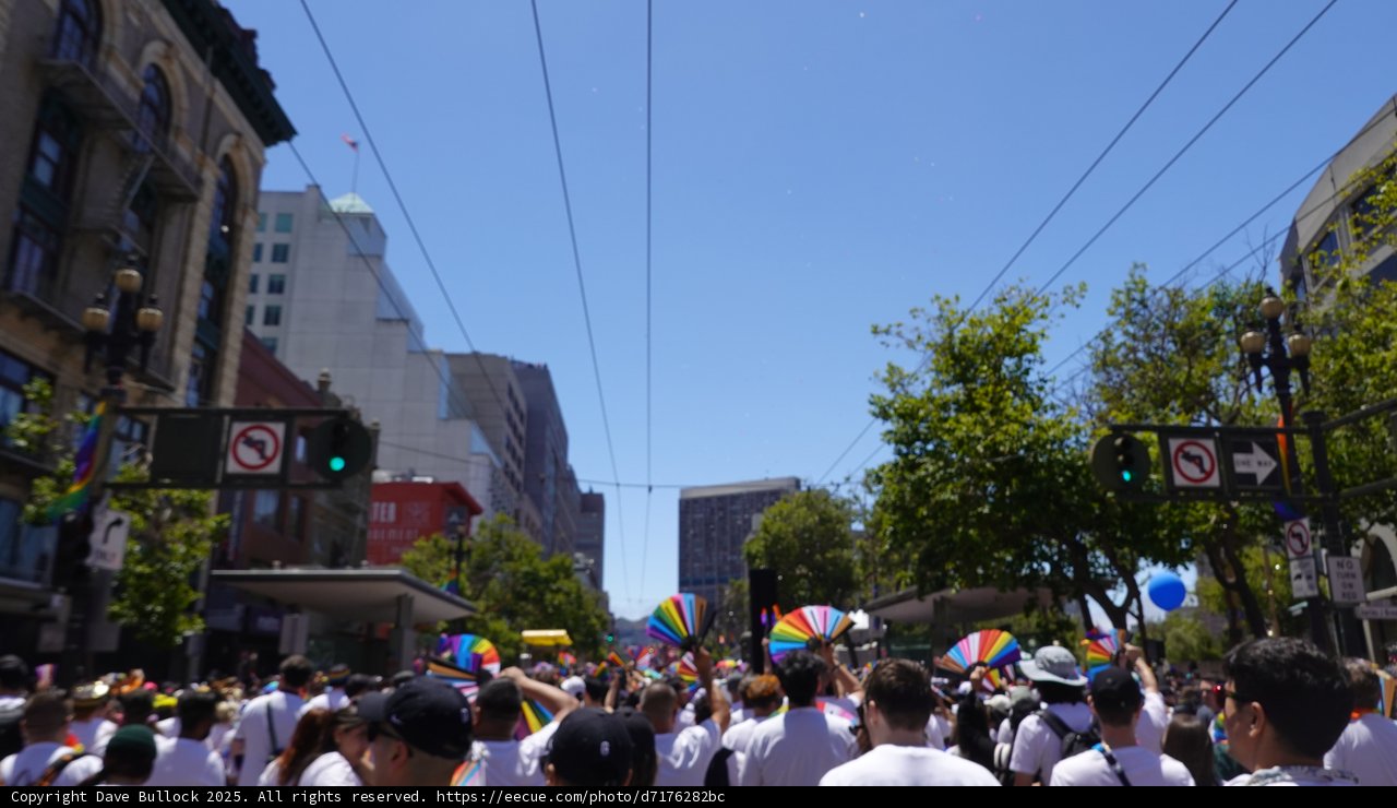 Celebrating Unity in the Urban Pulse