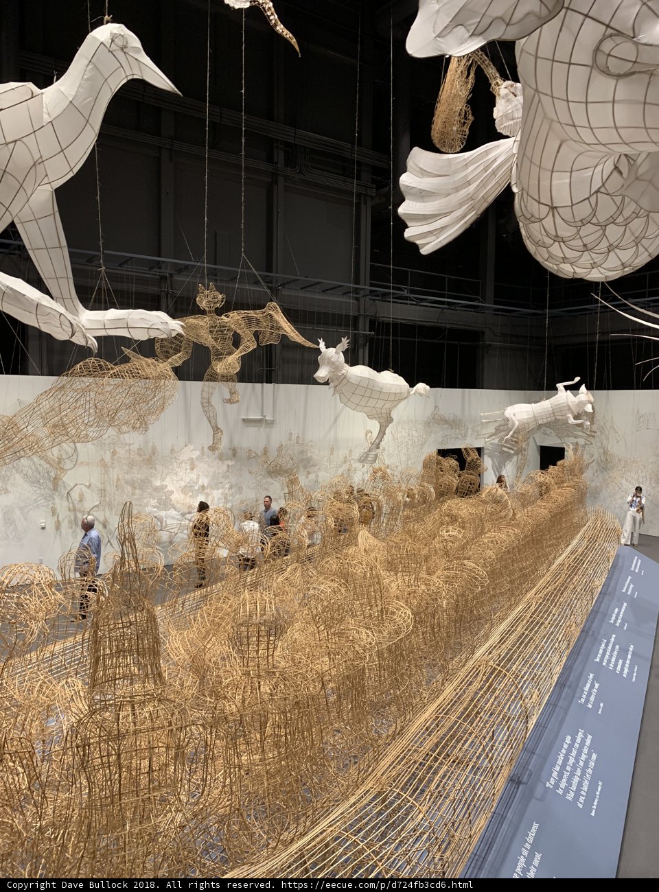 Flight of Imagination