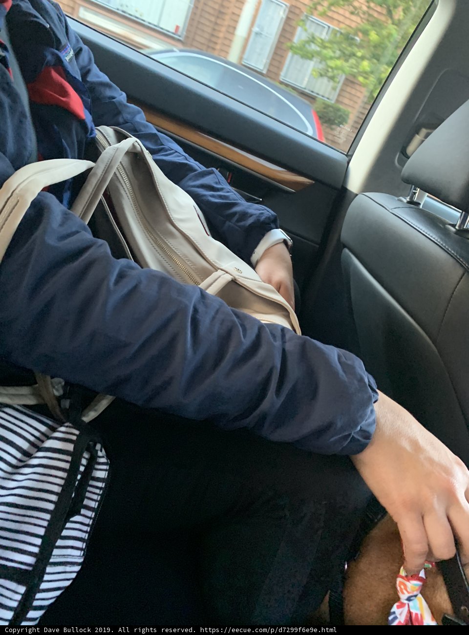 Rear Seat Chic