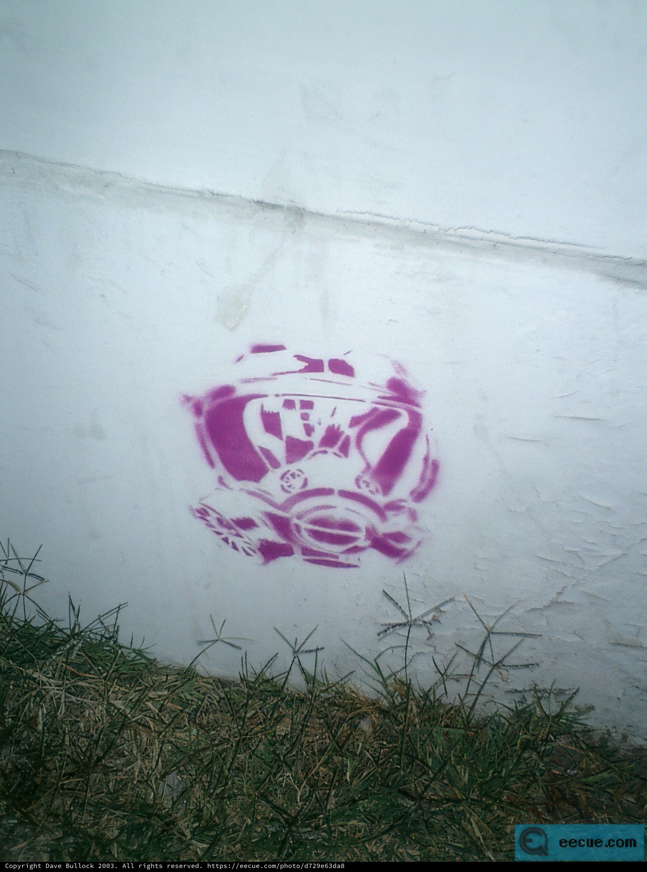 Vibrant Graffiti Design
