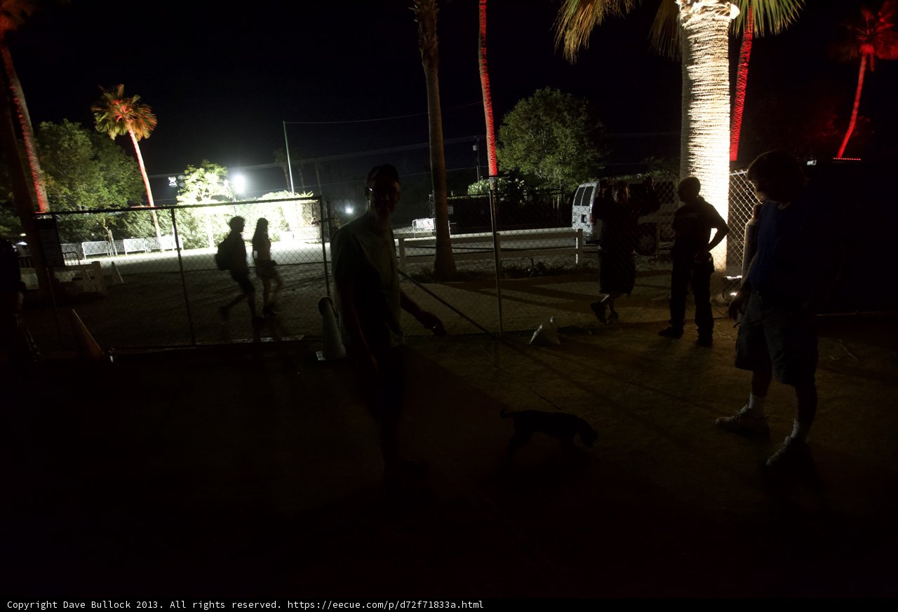 Nighttime Stroll in the Park