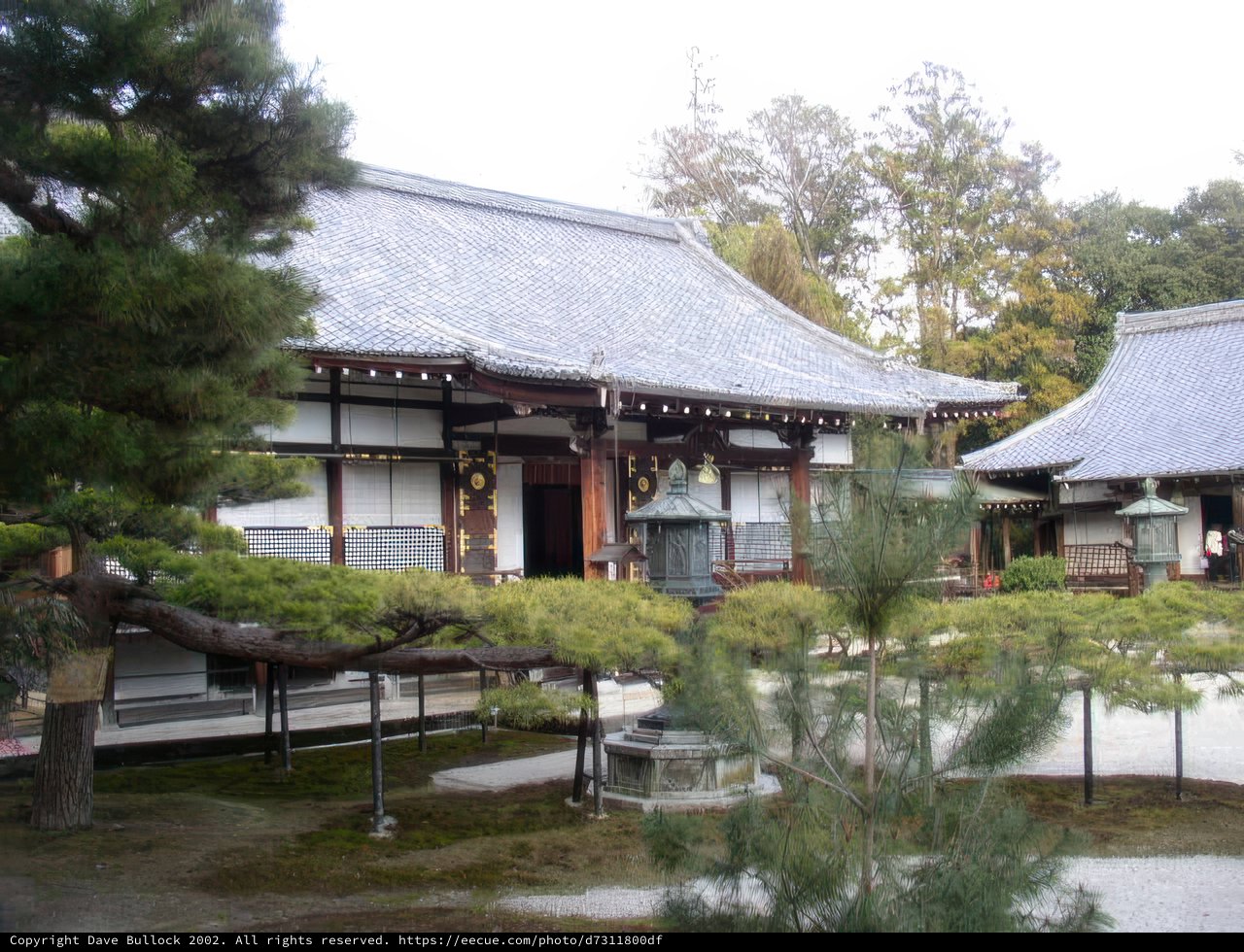 Japanese Style Mansion with a Tree