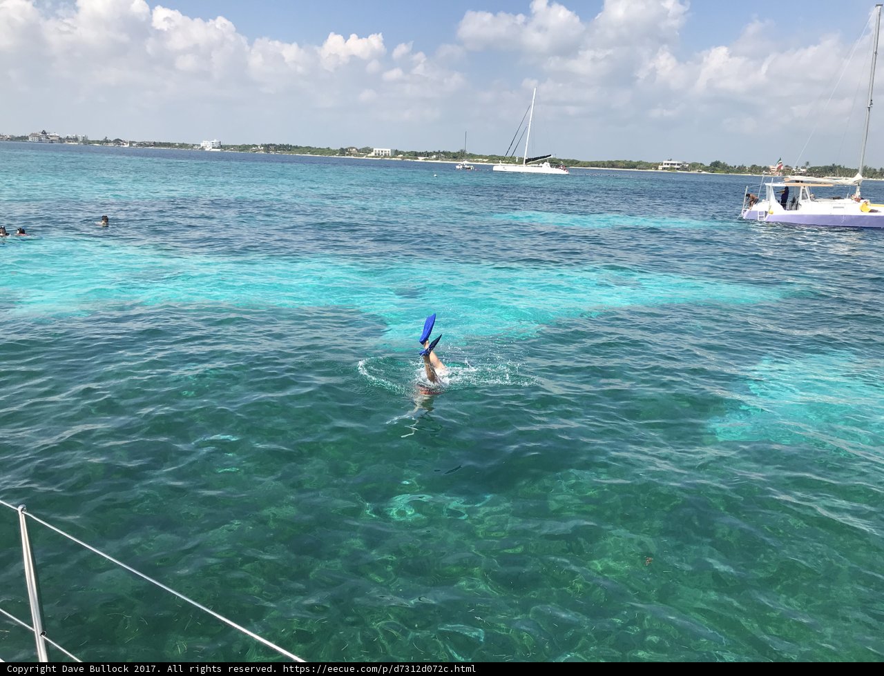 Snorkeling Adventure in the Ocean