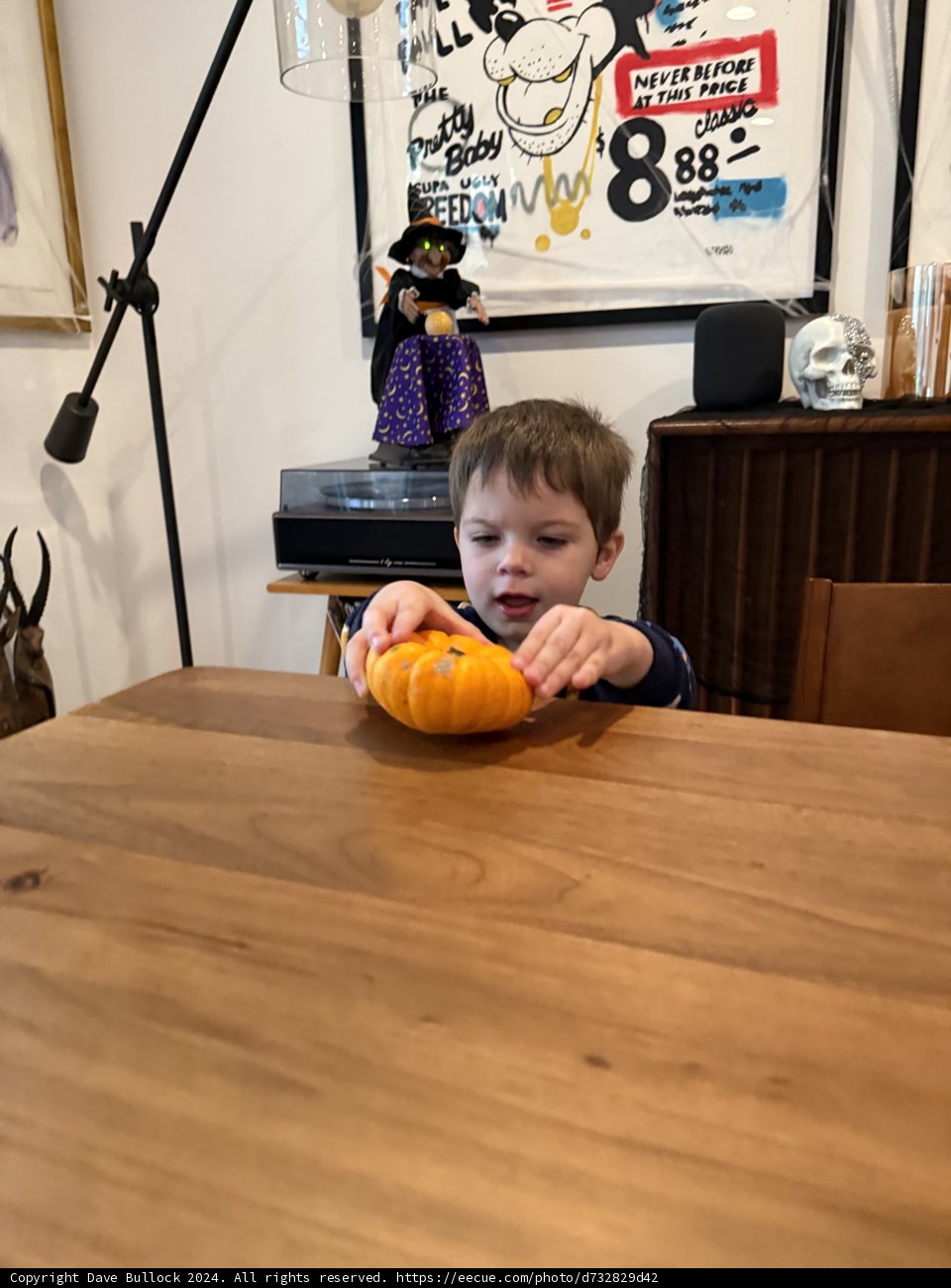Pumpkin Playtime